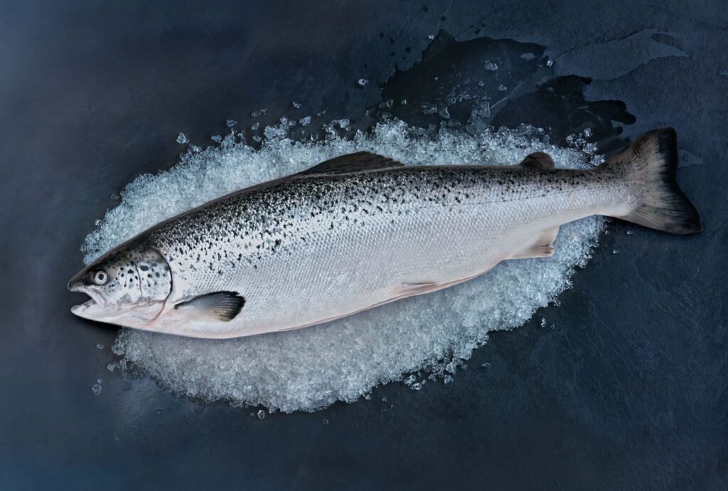 Atlantic Salmon Whole 12/14 Farmed Fresh