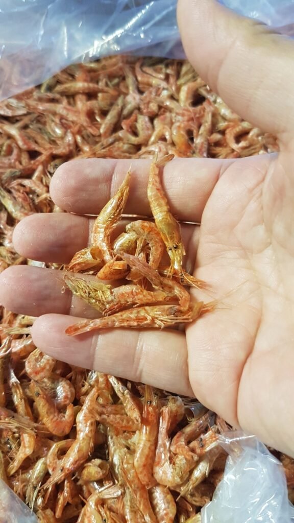Prawn Dried 10kg