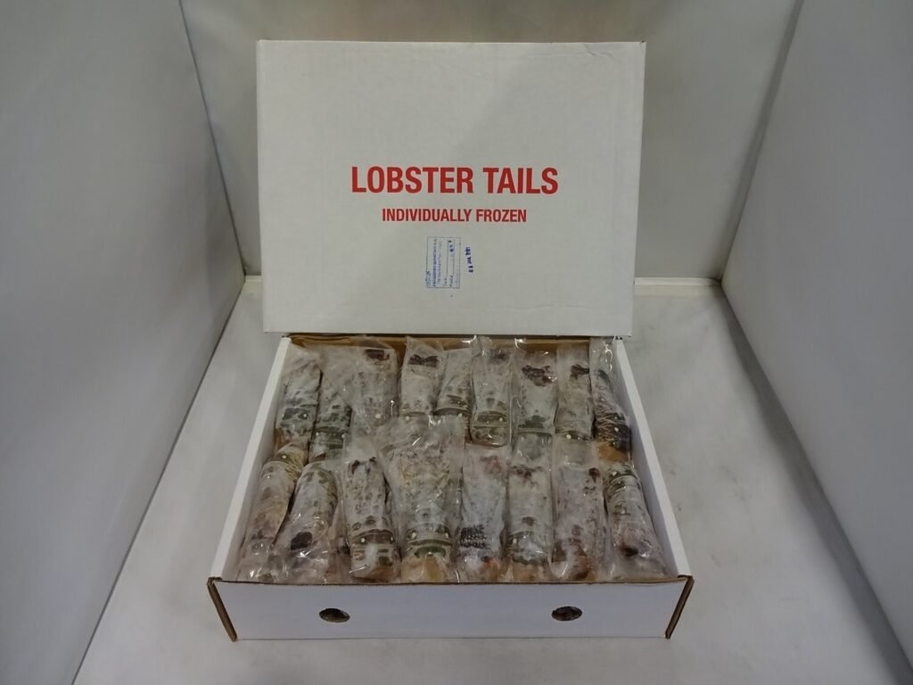 Lobster Tail 2/3oz  10lb