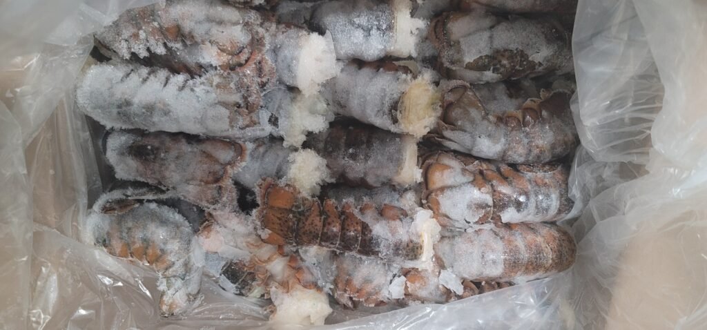 Lobster Tail 4oz  10lb
