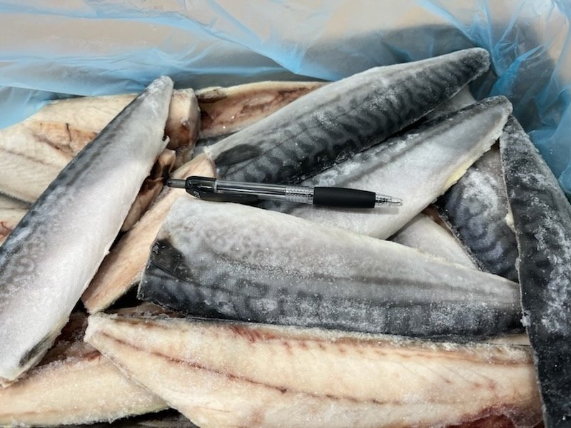 Mackerel Fillets Unsalted