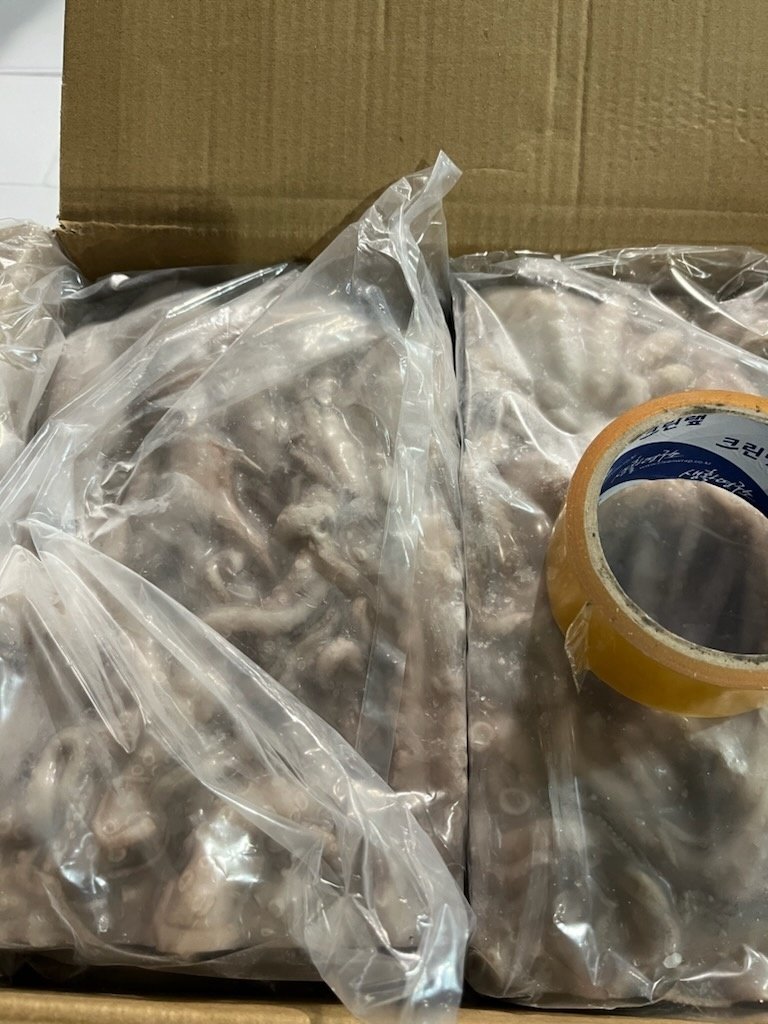 Octopus Whole 10.8kg