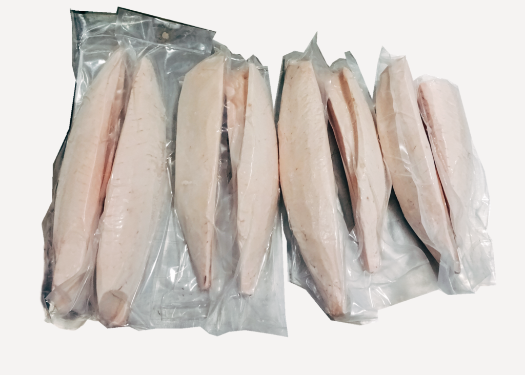 Albacore Tuna Loin -  20lb